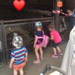 Dzieci przyglądją się kozą