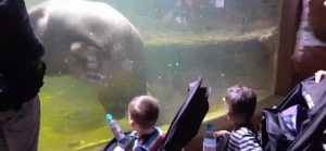 dzieci siedzące w wózku przyglądają się wielkiej rybie